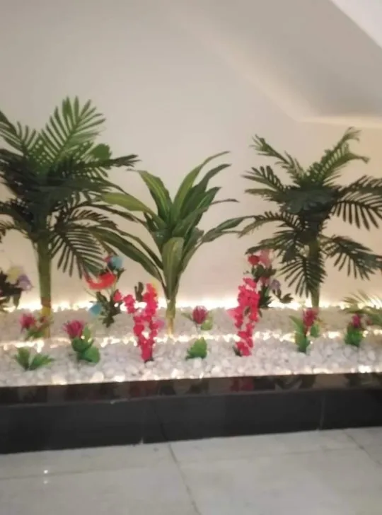 زراعة نخيل وأشجار مثمرة وزينة بالرياض