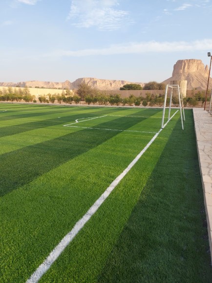 مزايا الملاعب