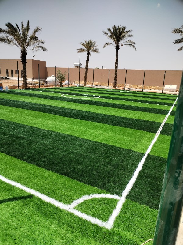 أنواع الملاعب