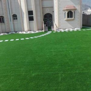 زراعة الثيل الطبيعي والصناعي بجودة عالية